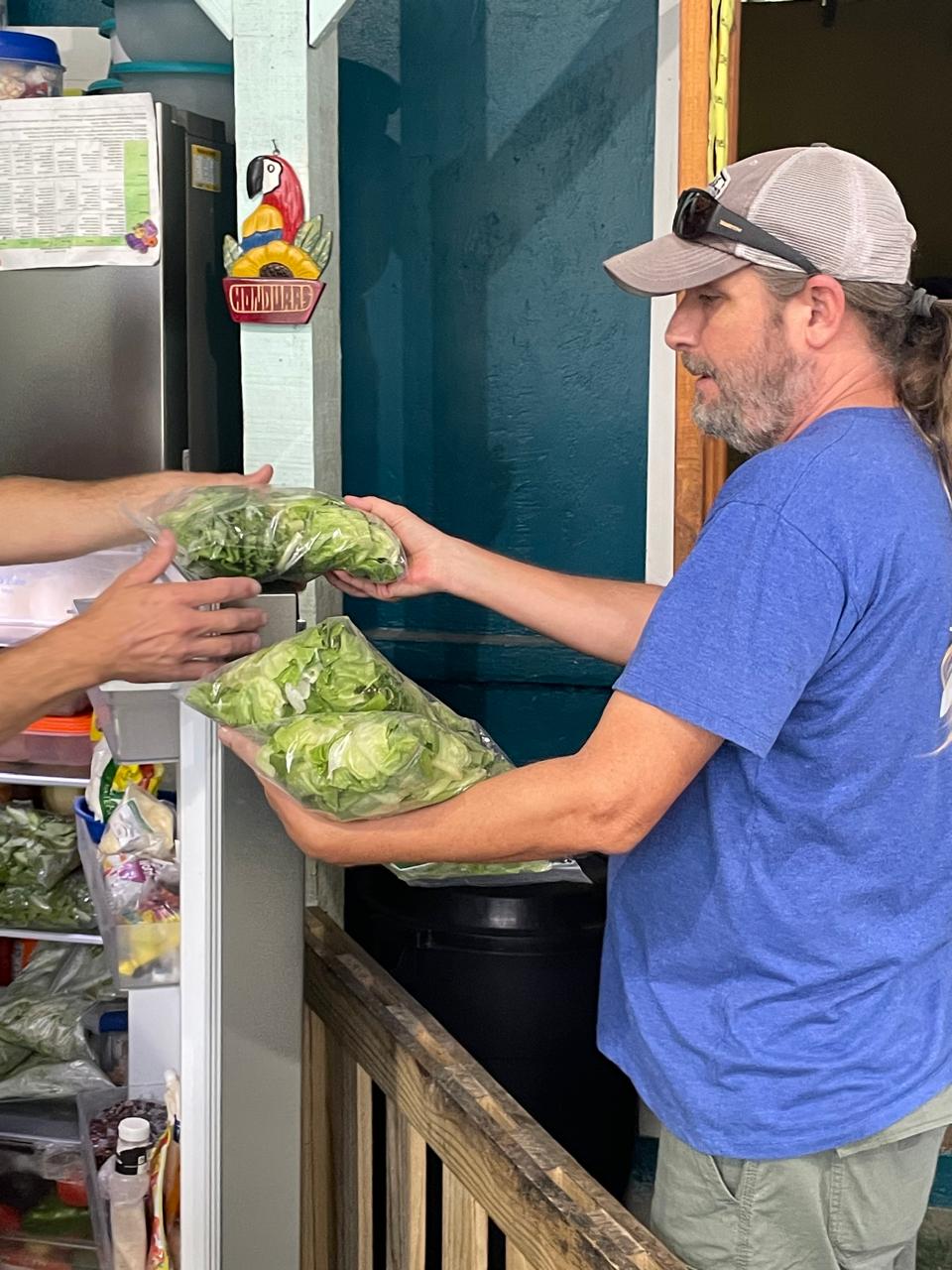 Volunteer with lettuce
